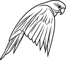 Step by Step Parrot Art Guide Perfecting Sketching for Vibrant Bird Illustrations vector