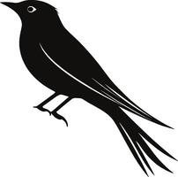 Mastering Small Bird Sketch Learn Feather Texturing for Realistic Artwork vector