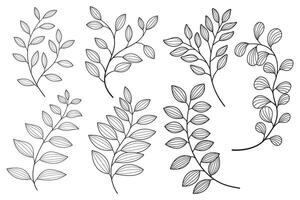 Set leaf line art drawing with abstract shape vector