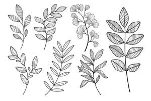 leaf drawing line art drawing with abstract shape vector
