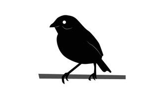 A black and white bird is sitting on a tree branch vector