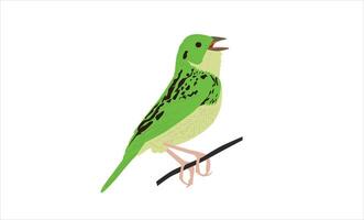 A good color Baird vector
