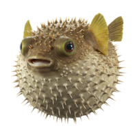 Realistic Pufferfish with Spikes and Rounded Shape png