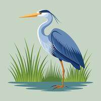 heron standing on the water with grass in the background vector