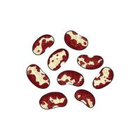 Colorful Illustration of Red Beans Isolated on White Background vector