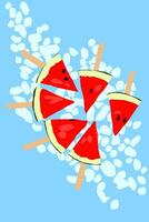 Watermelon ice cream cut on top of ice cube on blue background. Fresh fruit for summer season vector