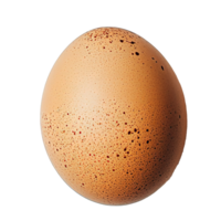 Brown Egg Isolated on the Transparent background png