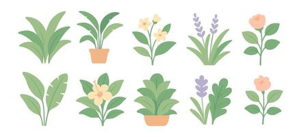 Collection of Diverse Floral Elements Displaying a Variety of Plants and Flowers for Creative Projects vector
