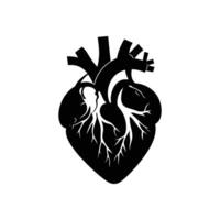 Anatomical Heart Icon Design for Apps and Websites vector