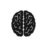 Understanding Human Brain Function An Overview for General Knowledge vector
