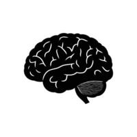 Exploring the Intricacies of the Human Brain A Detailed View vector