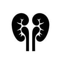 A Detailed Guide to the Kidney Anatomy Function and Potential Health Issues and Preventative Measures vector