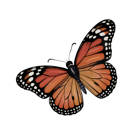 A beautiful butterfly image on a Transparent Background,images for using as Graphical Element. Beautiful Butterfly image png