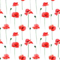 seamless pattern with red poppies on transparent background png