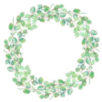 mint-green vignette with round-leaved Eucalyptus twigs for greetings png