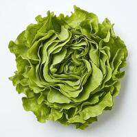 A close up of a lettuce on a white background photo