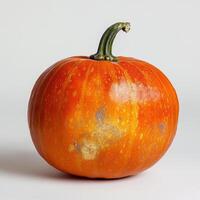A pumpkin sitting on a white surface photo