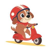 Cute dog in helmet riding a scooter. Happy character on a scooter. children illustration isolated on white background. vector