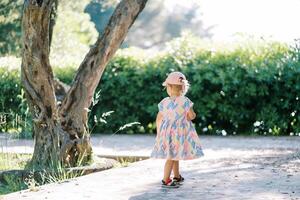 Little girl walks along a path in the park, looking at a tree. Back view photo