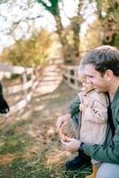 Little girl looks at a carrot in the hands of her dad, who is squatting in front of a paddock photo