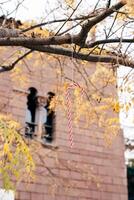 A Colorful Candy Cane Hanging on a Tree Branch During Autumn photo