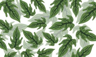 Natural Leaf Pattern on White Background vector
