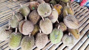 Group of fresh durians in the durian market. photo