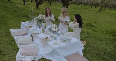 An Elegant Outdoor Gathering in a Serene and Tranquil Orchard Setting during the Afternoon video