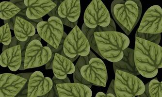 Dark Leaf Pattern Background vector