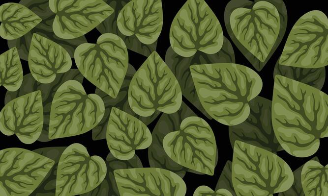 Dark Leaf Pattern Background