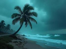 Palm Tree on Beach with Ocean Waves Under Moody Stormy Sky photo