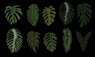 Monstera Leaf Pattern in Dark Tropical Style Background vector
