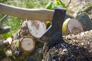 Close-up shot shows an axe embedded in a tree stump with cut logs in the background. photo