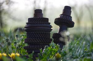 Old rusty gears, stacked together and resting in a field, overgrown with grass and dandelions. photo
