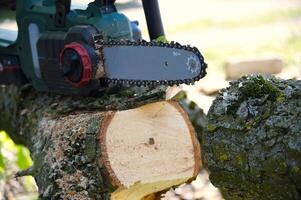 Powerful chainsaw makes a precise cut through a log, showing the wood's texture and sawdust. photo