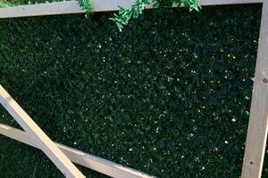 A stunning Artificial Greenery Wall Background perfect for any type of Decoration or event photo