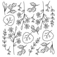Leaves and Botanical Line Doodles in Nature Style vector