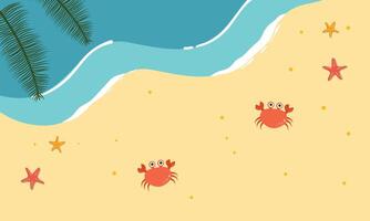 Starfish and Crabs On Wavy Sandy Shore Background vector