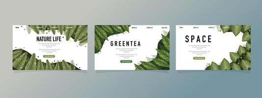 Botanical Presentation Slides With Natural Leaf Patterns vector