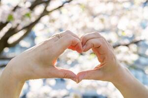 Woman's hands making heart shape with cherry blossom tree in background photo