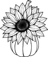 Sunflower coloring pages for kids vector