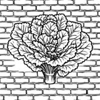 A drawing of a cabbage on a brick wall vector