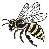 Stylized Illustration of a Honeybee in Flight vector
