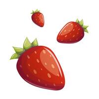Three vibrant strawberries floating in a bright white background vector