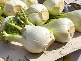 Fresh fennel bulbs displayed at market stall with price tag in sunlight photo