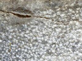Rough granite texture with natural patterns and cracks photo