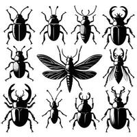 Bugs silhouette with white background vector