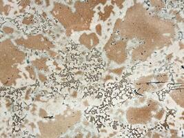 Abstract weathered stone texture with natural patterns and earth tones photo