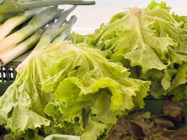 Fresh green leafy lettuce and leek display at market stall photo