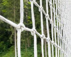 Close-up of rope bridge netting against lush forest backdrop photo